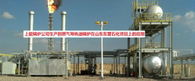 燃气导热油锅炉技术解决方案