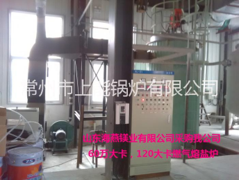 燃气熔盐炉系统组成